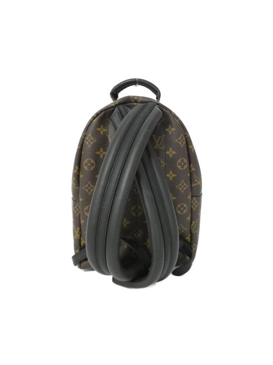 Louis Vuitton Monogram Palm Springs Backpack PM Rucksack main image 8